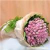 紫玫瑰33枝-上海市鲜花店 上海市实体花店 上海市鲜花网