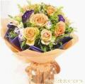 香槟玫瑰9枝-上海市鲜花店 上海市实体花店