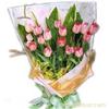 郁金香18枝 上海市实体鲜花店 上海市鲜花订购