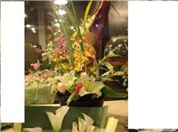 跳舞兰小花篮-上海鲜花店 上海鲜花网