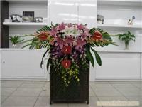 洋兰跳舞兰花艺-上海鲜花网 上海嘉园鲜花网