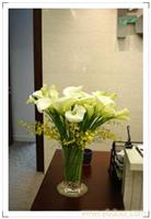 马蹄莲瓶插花-上海鲜花店