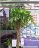 发财树1.8米-上海鲜花店 上海市实体花店