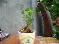 上海市浦东新区浦明路实体鲜花店