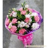 粉康乃馨桔梗-上海鲜花店 杨浦区鲜花店