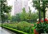 上海绿化设计工程公司