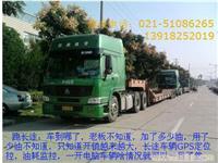 宁德GPS定位，宁德GPS油量监控，宁德GPS，车载GPS定位监控