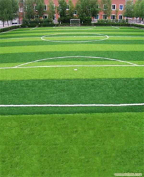 上海草坪地毯公司 上海草坪地毯价格 上海草坪地毯 4006662680转1028