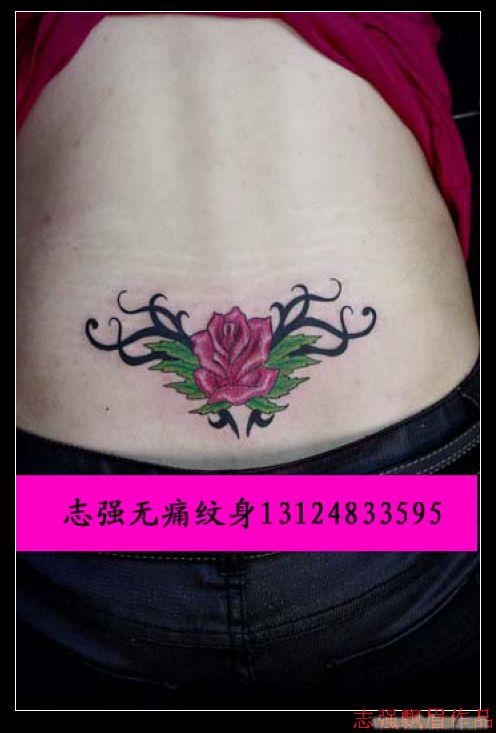 女性背部纹身、上海纹身店