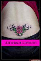 女性背部纹身、上海纹身店