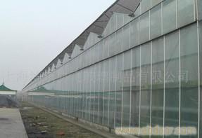 上海夹层玻璃制作/上海夹层玻璃价格