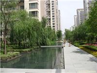 上海绿化工程养护   绿化养护  草坪养护