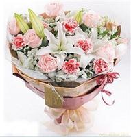 6枝粉玫瑰+6枝粉康或者粉色花边康乃馨+2枝多头白香水百合,