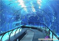 上海大型鱼缸定做-海洋馆工程