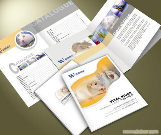 公司出版物印刷-书刊杂志