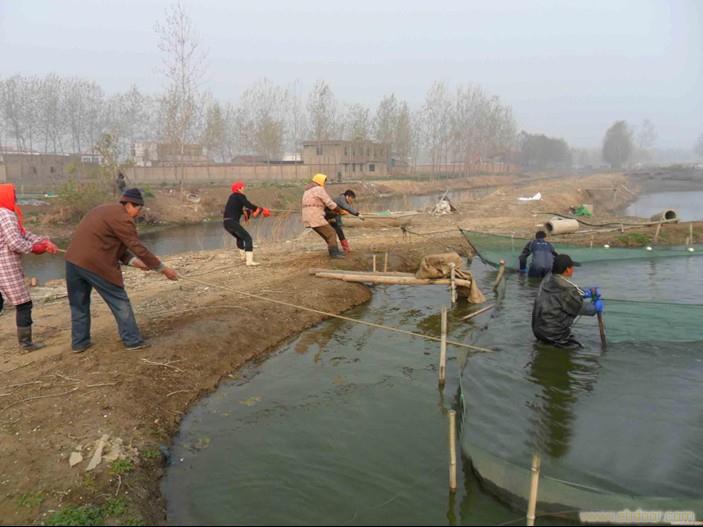 泥鳅捕捞工具