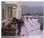 上海涂料工程承接/上海防水工程施工公司