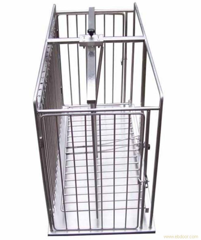 宠物打针笼_不锈钢宠物打针笼
