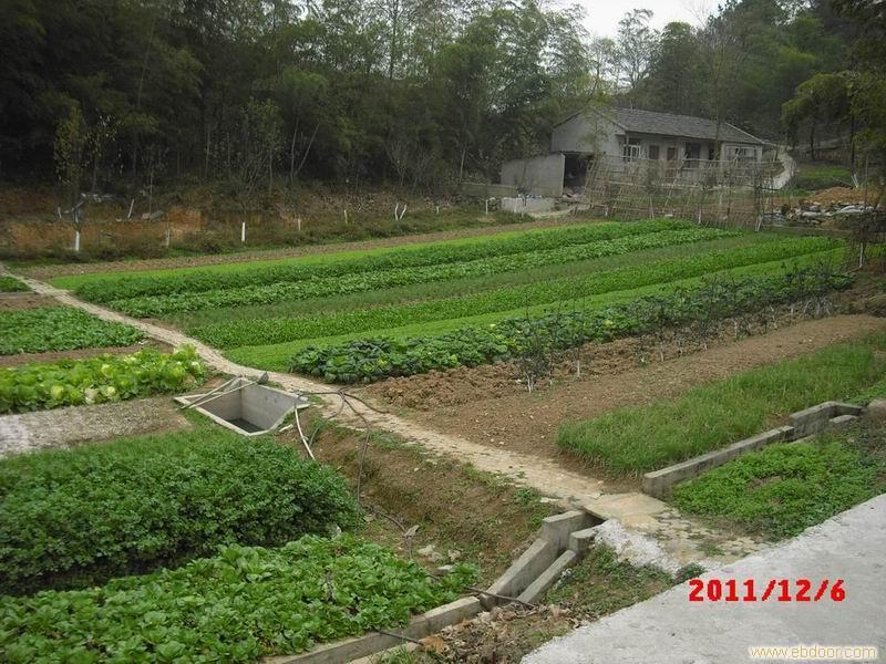 南京山庄蔬菜园