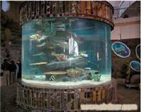 上海亚克力观赏鱼缸,亚克力鱼缸制作