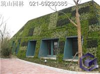 上海绿化养护  养护上海绿化