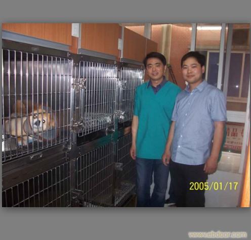 寄养住院笼 不锈钢寄养住院笼