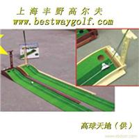 上海推杆练习器 