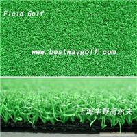 SE11302-b草坪 
