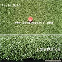 SGR34511U-b （ Tee Grass） 