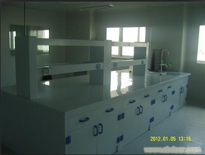 PP通风柜专卖 上海实验室家具 实验室家具