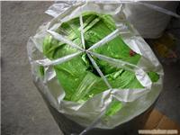 上海撕裂带公司