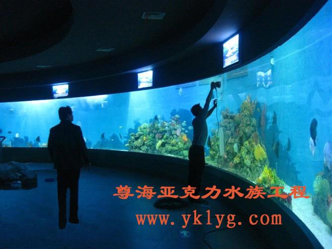 上海亚克力鱼缸定做-亚克力鱼缸定做-松江亚克力鱼缸