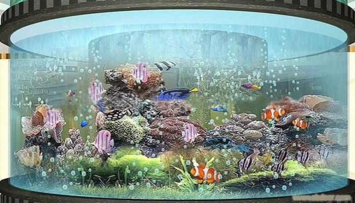 亚克力圆柱-大型亚克力鱼缸定做-上海亚克力鱼缸