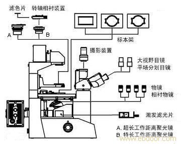 倒置荧光显微镜 XDY-100