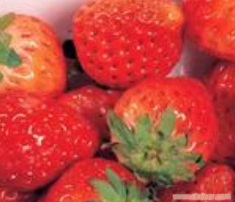 平顶山治疗<em>胎记医院</em>_平顶山治疗<em>胎记医院</em>高清