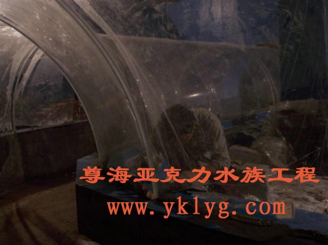 定做大型鱼缸|上海鱼缸定做|上海鱼缸定做价格
