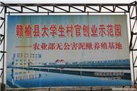 泥鳅防护措施