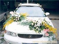 上海婚车租赁热线/上海婚车租赁价格