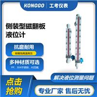 PVC材质磁翻板液位计