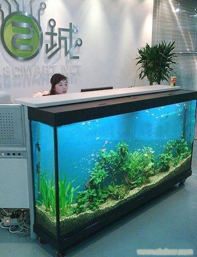 亚克力水族工程|上海亚克力工程|水族亚克力鱼缸|海洋馆水族鱼缸