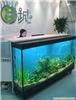 亚克力水族工程|上海亚克力工程|水族亚克力鱼缸|海洋馆水族鱼缸