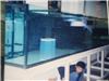 有机玻璃鱼缸|大型有机玻璃鱼缸|有机玻璃制品