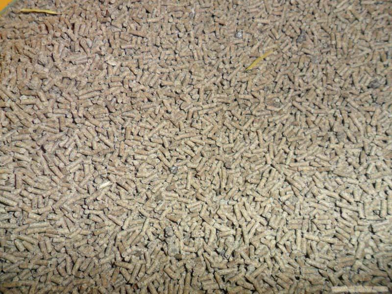 墩尚泥鳅饲料价格