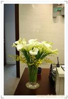 马蹄莲跳舞兰瓶花 上海市徐汇区鲜花店