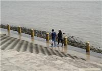 上海崇明岛一日游价格 上海崇明岛一日游报价 崇明前卫生态村预订中心