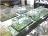 四川亚克力酒店用品价格|成都亚克力酒店用品价格