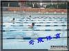 游泳比赛/体育活动策划