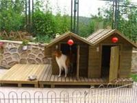 上海防腐木宠物笼-上海防腐木宠物笼制作-上海防腐木宠物笼专卖