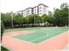 硅PU篮球场的优越性/武汉硅PU篮球场施工
