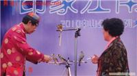 现场驯鸟演出15000096912